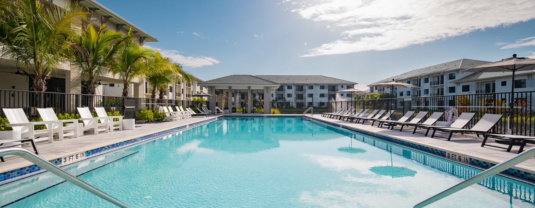 a pool with chairs and palm trees